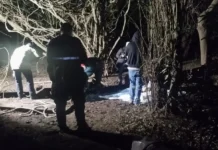 Mata onde foram encontrados os corpos das três vítimas, incluindo um bebê de dois meses, assassinadas por pai de santo em Esteio (RS) (Polícia Civil-RS/Divulgação)